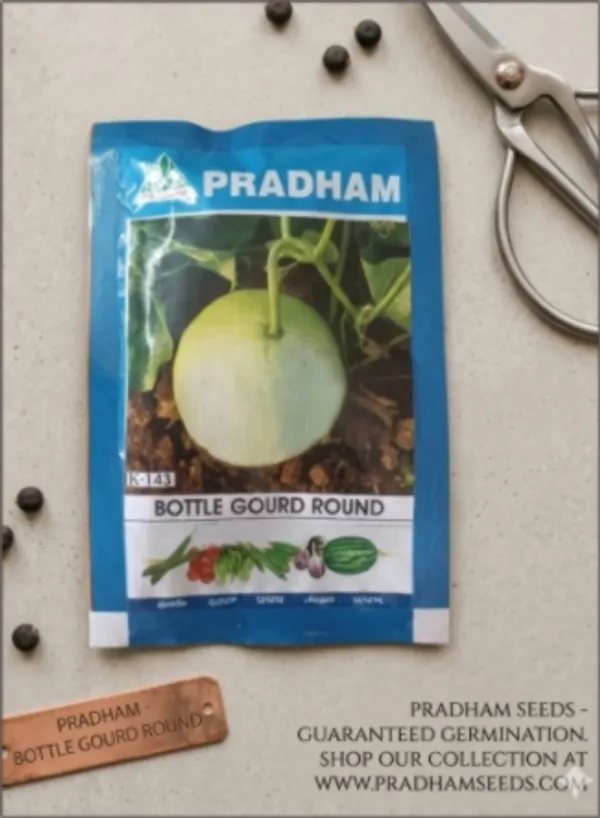 Bottle_gourd_round