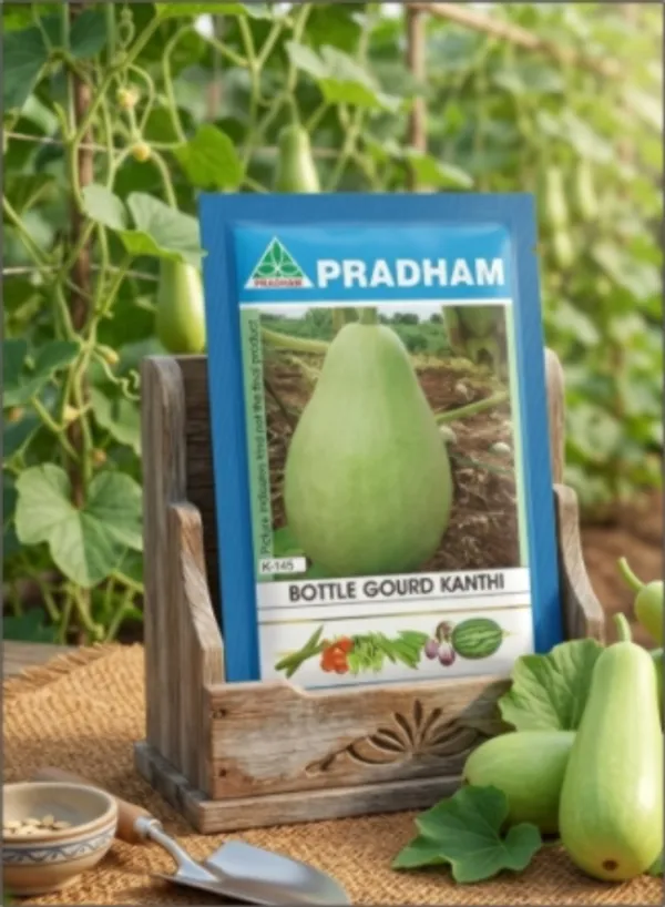 Bottle_Gourd_Kanthi