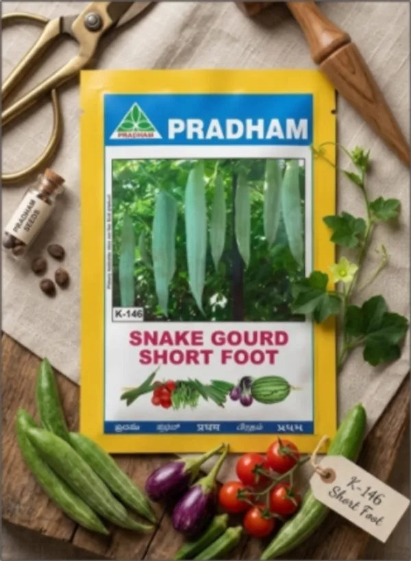 Snake_gourd_short_foot