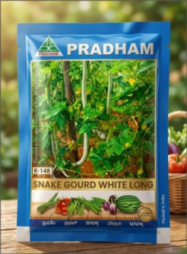 Snake_gourd_White_long