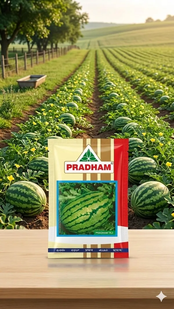 Water_melon_Taj