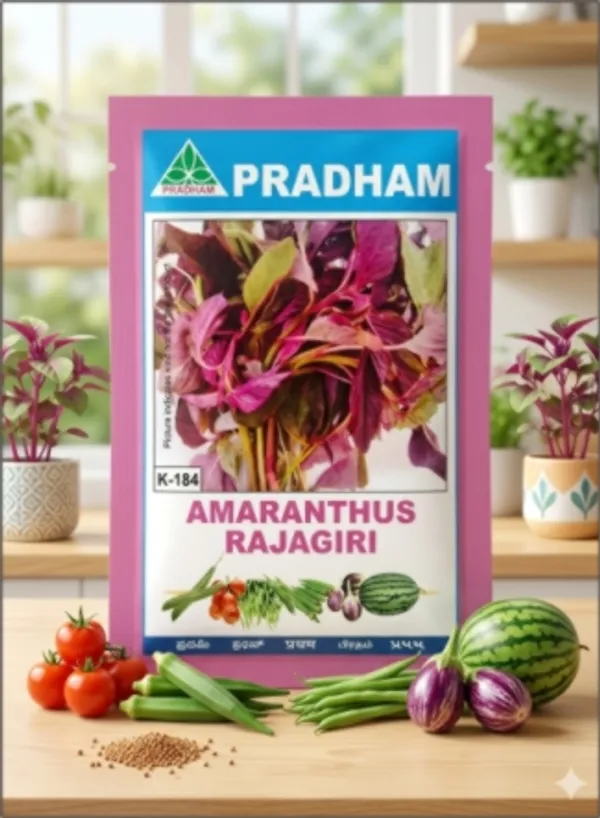 Amranthus_Rajgiri