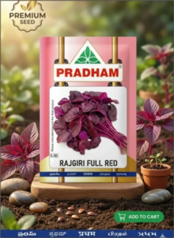 Amarathus_Rajgiri_Full_red