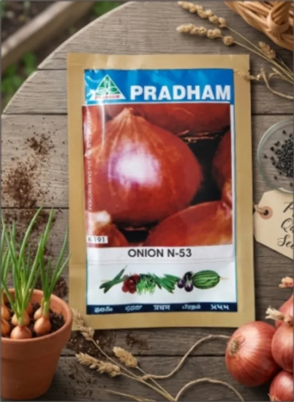 Onion_N-53
