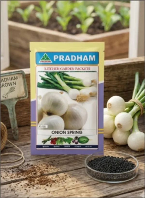 Onion_White