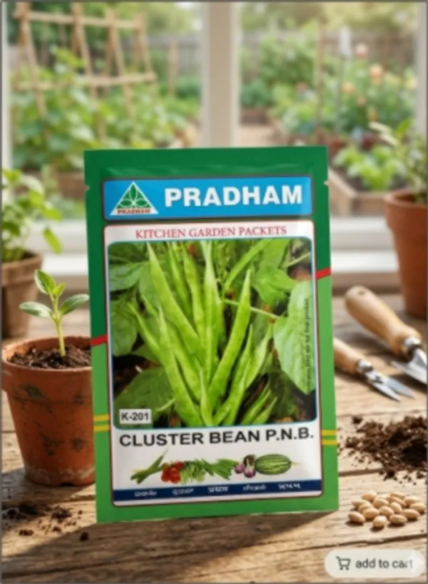 Cluster_bean_PNB