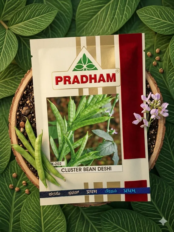 Cluster_bean_Deshi