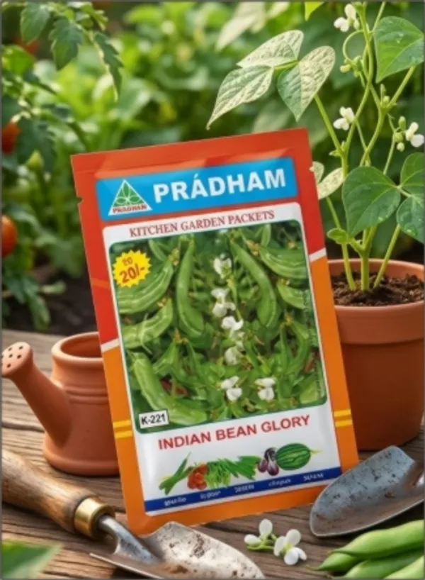 Indian_bean_Glory