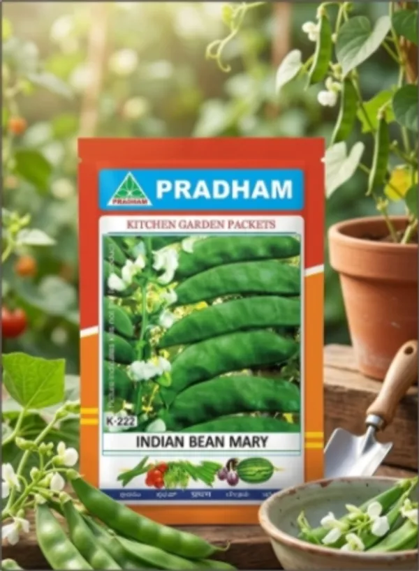 Indian_bean_Marry