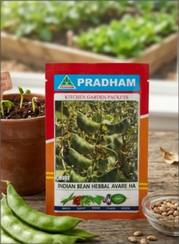 Indian_Bean_HA-3