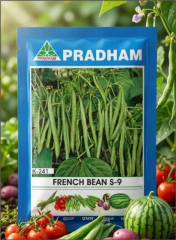 French_bean_S-9