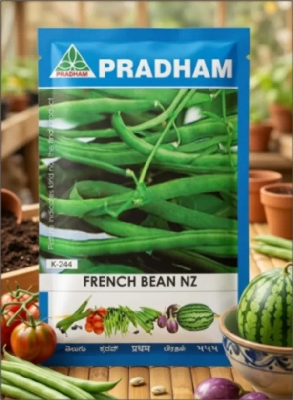 French_bean_NZ