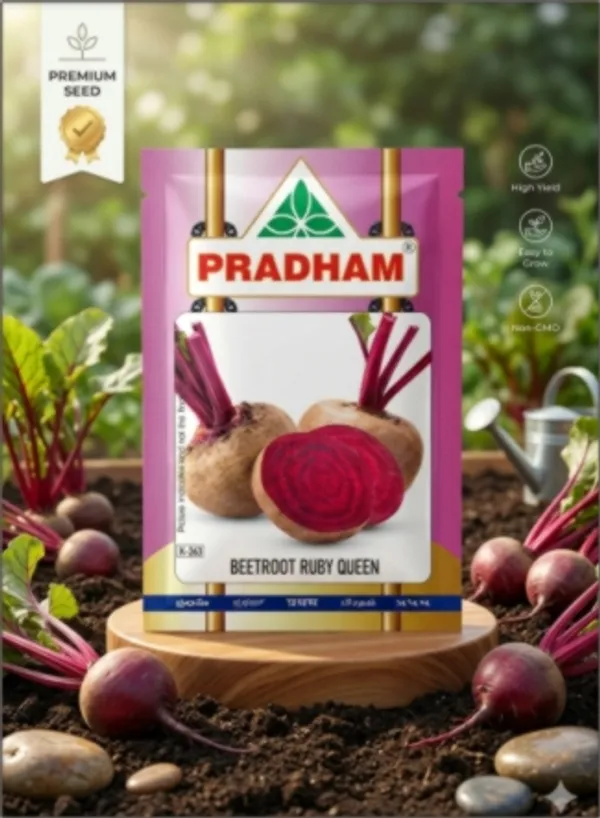 Beetroot_Ruby_Queen