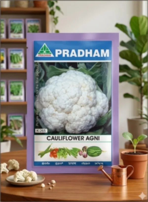 Califlower_Agni