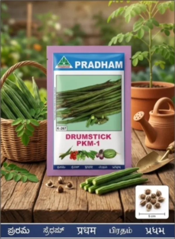 Drumstick_PKM-1