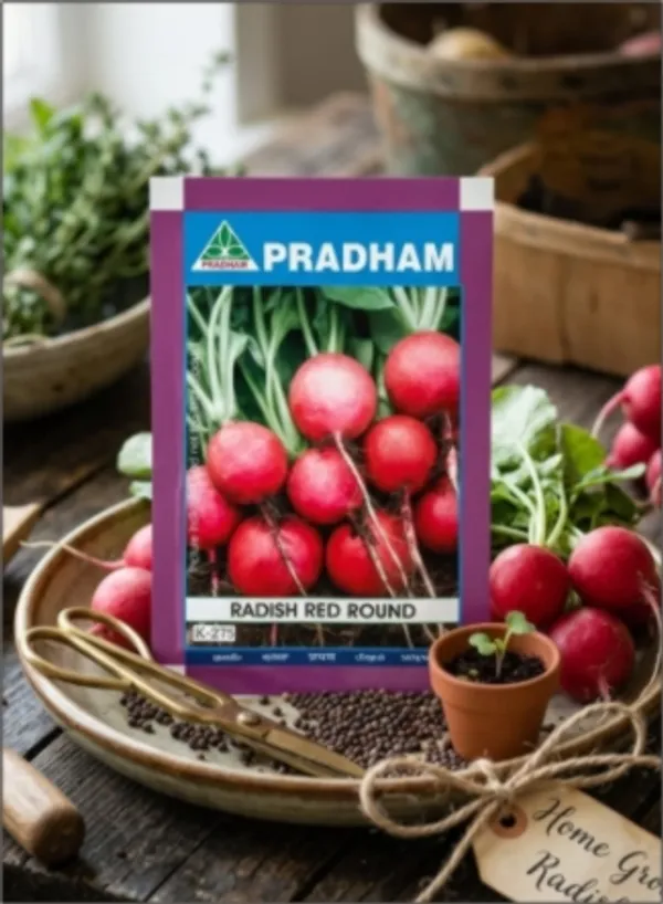 Radish_Red_round