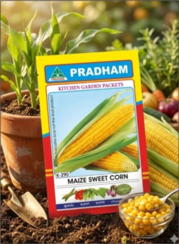 Maize_Sweet_Corn