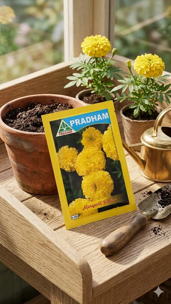 Marigold_Yellow_Open_pollinated