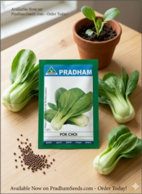 Pok_choi