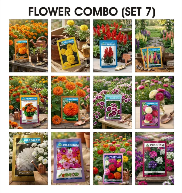 Flower_Combo_Set_7_Premium_Flower_Seeds_Collection_Pack_of_12
