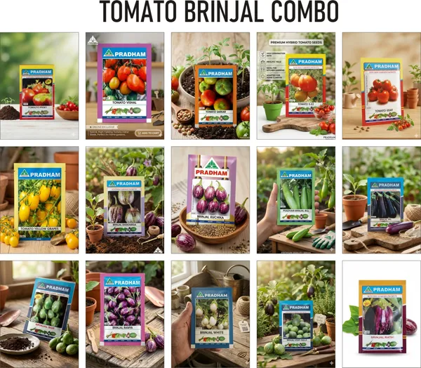 Premium_Vegetable_Seeds_Combo_Tomato,_Brinjal,_Okra_And_More_(15_Pack_Garden_Kit)