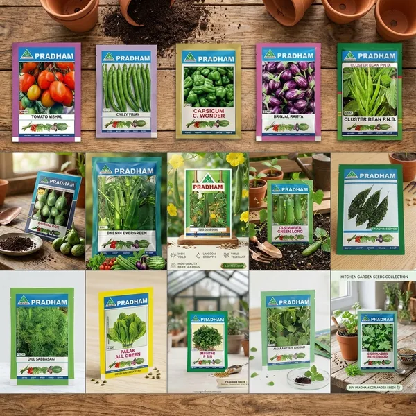 Pradham_Gardening_Starter_Combo_Set_2_(15_Variety_Vegetable_Seed_Pack)