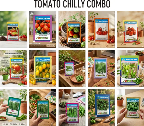 Pradham_Vegetable_Seed_Combo_Pack_Tomato_And_Chilli_Seeds_For_Kitchen_Garden
