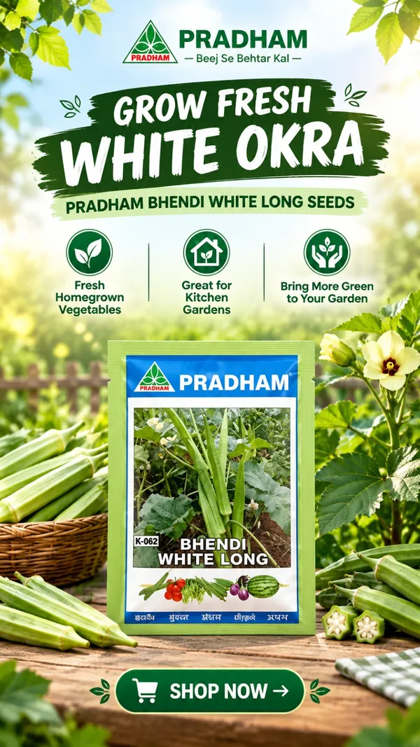 Bhendi_White_long_1_kg