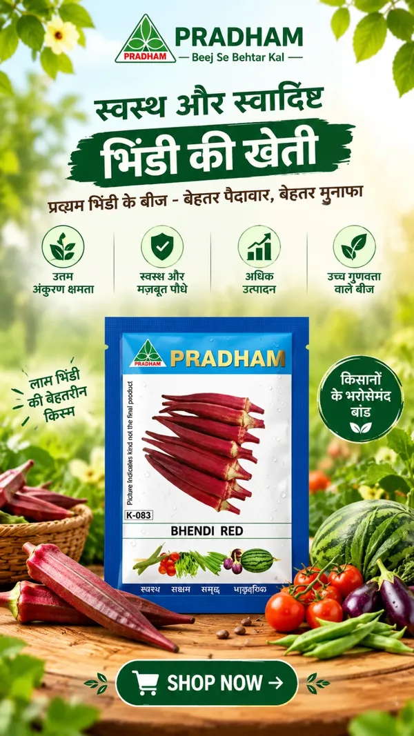 Bhendi_Red_1_kg