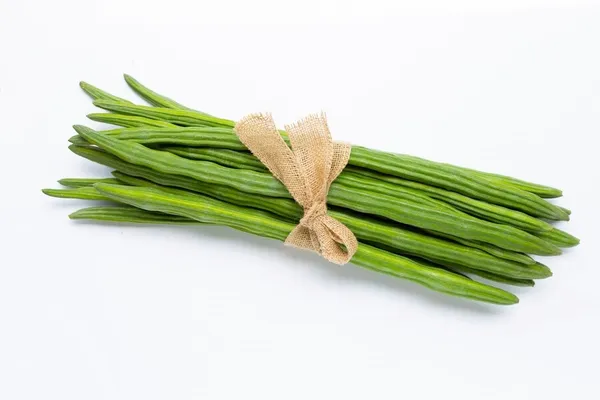 Drumstick_PKM-1