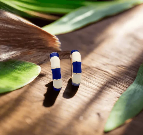 Chunky_Two_Tone_Enamel_Hoops