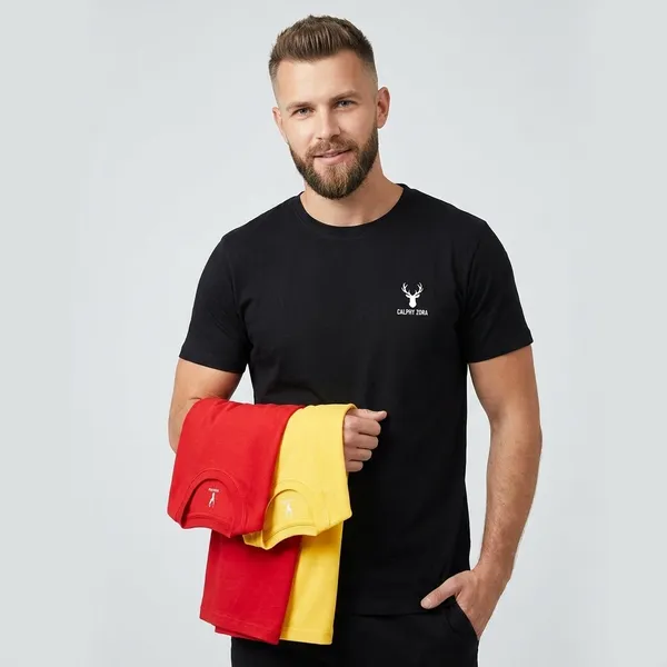 Multicolor_Premium_Cotton_Fabric_T-Shirt_Pack_Pack_Of_3_For_Men