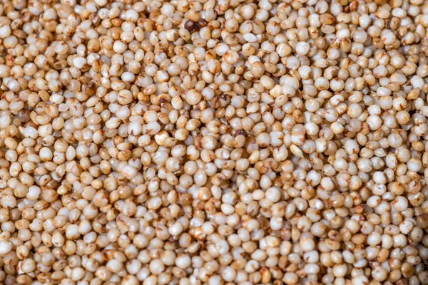 Meltorious_Kodo_Millet_Whole_Grain