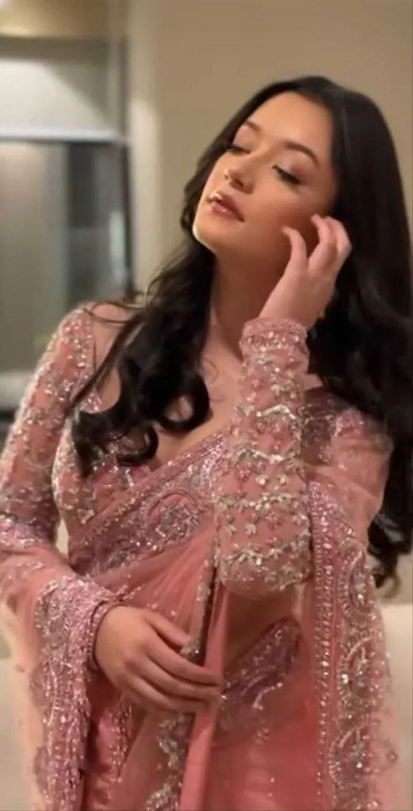 Peach_Embellished_Net_Saree