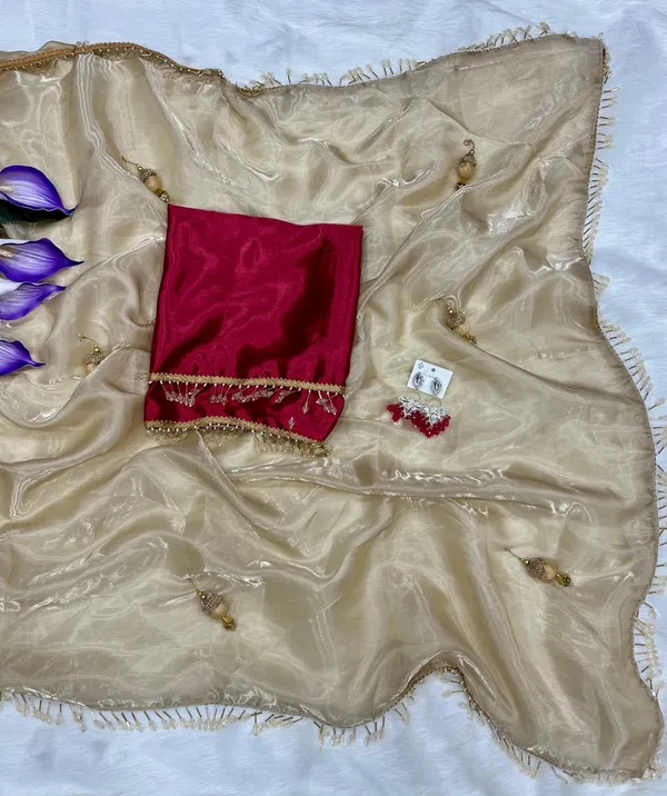 Beige_Stay_Beautiful_With_Our_New_Fandy_Sattin_Saree_With_Beautiful_Crystal_Moti_Lace_With_Beautiful_Handwork__Latkan_In_Pallu