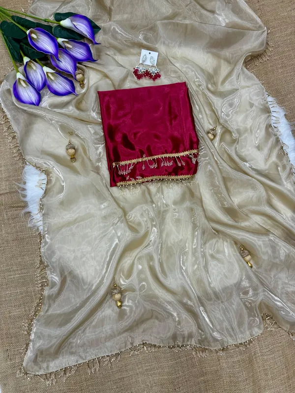 Beige_Stay_Beautiful_With_Our_New_Fandy_Sattin_Saree_With_Beautiful_Crystal_Moti_Lace_With_Beautiful_Handwork__Latkan_In_Pallu