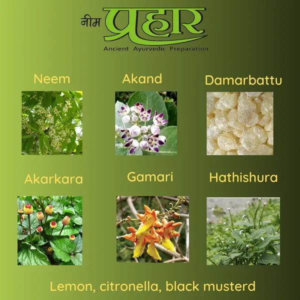 Gaumayam_Neem_Prahaar_Mosquito_Repellent_Agarbatti_Pack_of_3_(360_Pcs_Total)_–_Get_Free_Ceramic_Incense_Stick_Stand