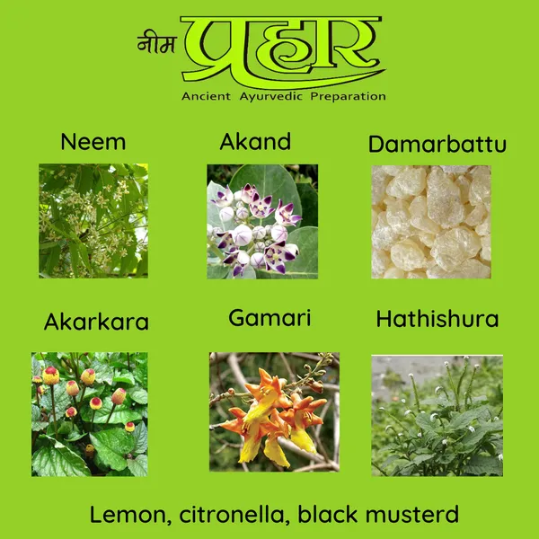 Neem_Prahar_Organic_Sambrani_Cups_(Pack_of_3,_36_Cups)__Natural_Mosquito_Repellent_Dhoop_Cup_Includes_5_Free_Gifts_(1_Ceramic_Burner_+_4_Neem_Prahaar_Dhoop_Packs)