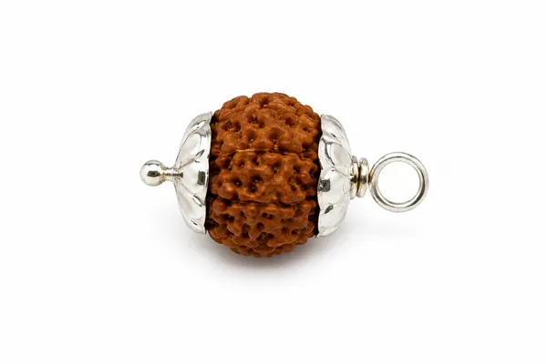 10_MUKHI_RUDRAKSHA