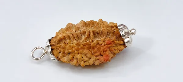 2_MUKHI_RUDRAKSHA