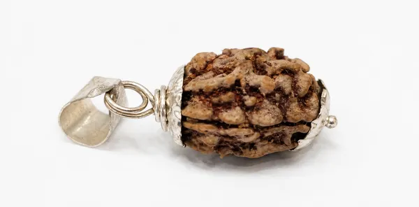 3_MUKHI_RUDRAKSHA