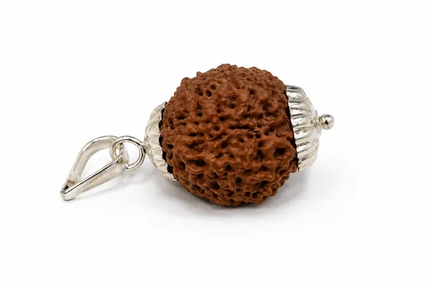 5_MUKHI_RUDRAKSHA