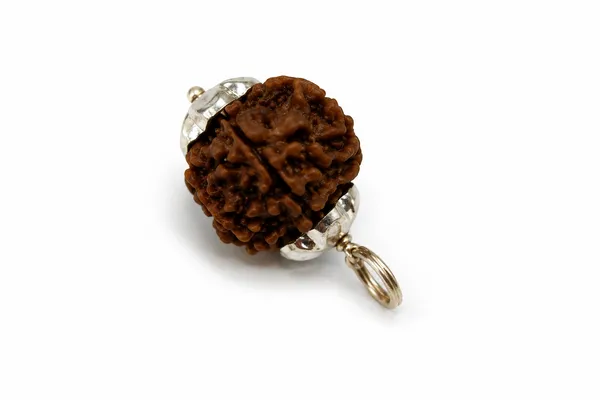 6_MUKHI_RUDRAKSHA