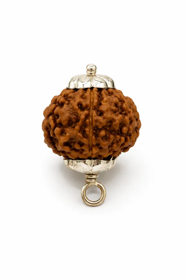 7_MUKHI_RUDRAKSHA