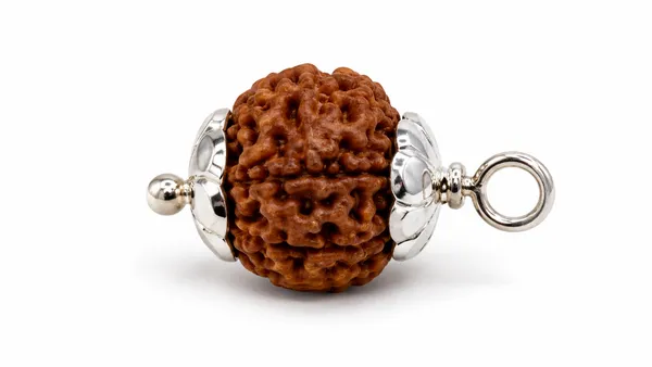 8_MUKHI_RUDRAKSHA