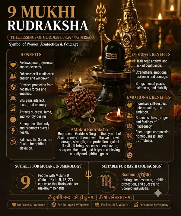 9_MUKHI_RUDRAKSHA
