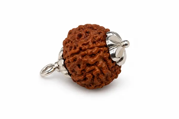 9_MUKHI_RUDRAKSHA