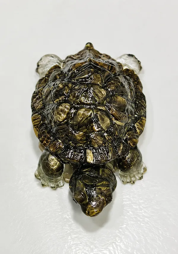 Special_Pyrite_Tortoise_(_''A_Symbol_of_Wealth,_Prosperity&_Positive_Energy''