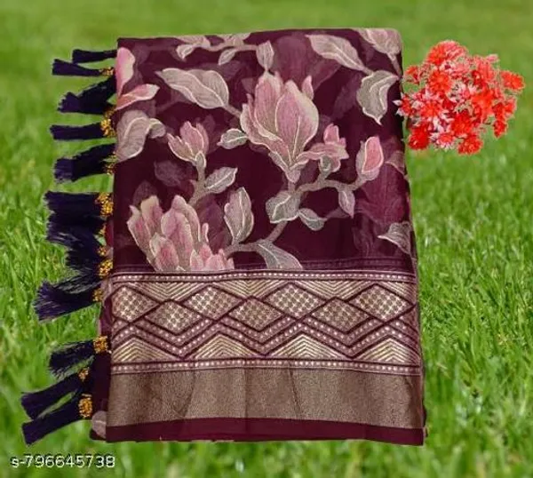 Multicolor_Fancy_Brasso_Printed_Premium_Saree_And_Jalar_Border_Premium_Saree_For_Women