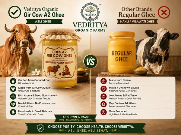 Vedritya_A2_Gir_Cow_Ghee(500gram)